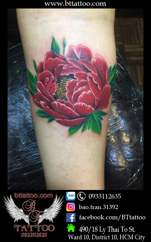 hinh xam hoa mau don 